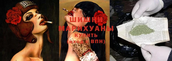 ECSTASY Богородицк
