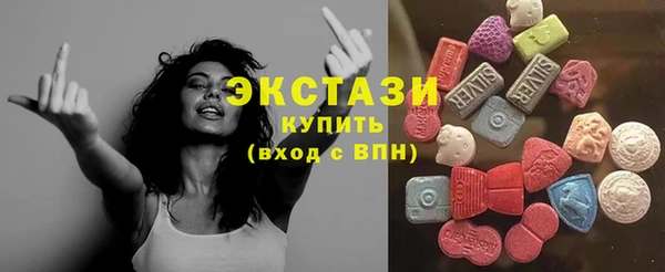 ECSTASY Богородицк