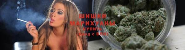 первитин Богданович