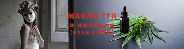 ECSTASY Богородицк