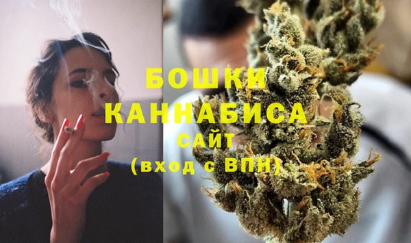 первитин Богданович