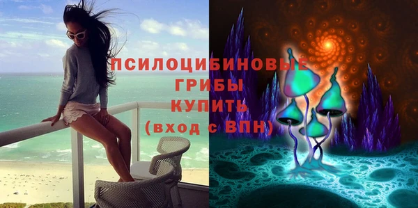 первитин Богданович