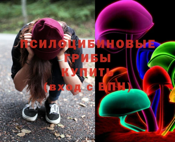 apvp Богородск