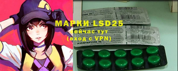 ECSTASY Богородицк