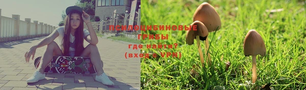 ECSTASY Богородицк